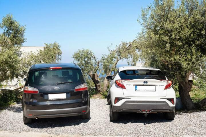 Villas Goudis Tsoukaládhes エクステリア 写真